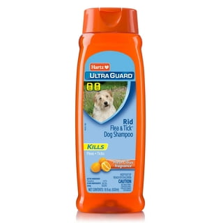 Whole foods cheap dog shampoo