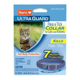Fleashield collar sale