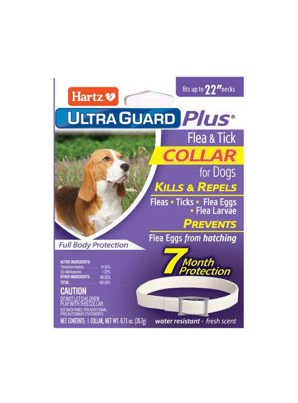 Dog Flea and Tick Collars in Dog Flea and Tick