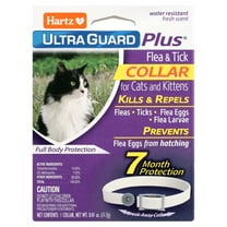Hartz UltraGuard Plus Flea & Tick Collar for Cats and Kittens, 7 Months Protection, 1ct