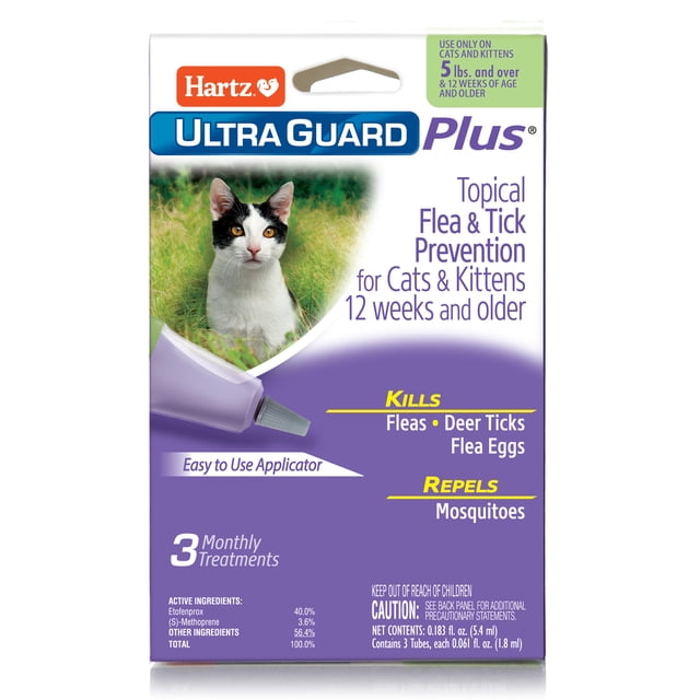 Beautiful view of Flea And Tick Prevention For Kittens On Corticosteroids