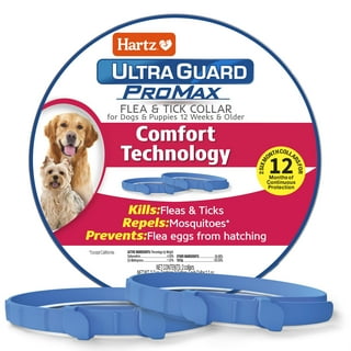 Best flea tick mosquito collar for dogs sale