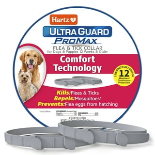 Best tick collar on sale for dogs