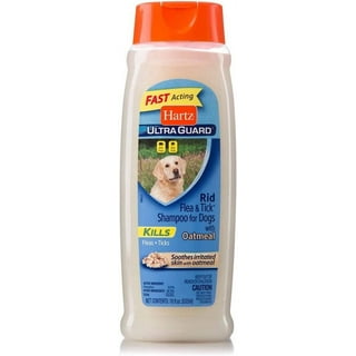 Dog Flea Shampoo in Dog Flea and Tick Walmart