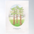 thumbnail image 1 of Haruki Murakami'S Norwegian Wood // Illustration Of A Forest And Mountains In Pencil Poster Wall Art, Modern Wall Decor, 8x12 UNFRAMED, 1 of 3