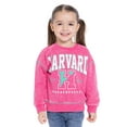 thumbnail image 1 of Harvard Toddler Girls Collegiate Graphic Sweatshirt, Sizes 12M-5T, 1 of 6