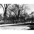 thumbnail image 1 of Harvard University C1920. Ncampus Of Harvard University Cambridge Massachusetts. Poster Print by, 1 of 3