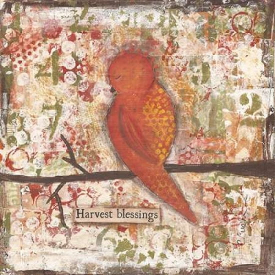 Harvest Blessings Canvas Art - Cassandra Cushman (24 x 24)