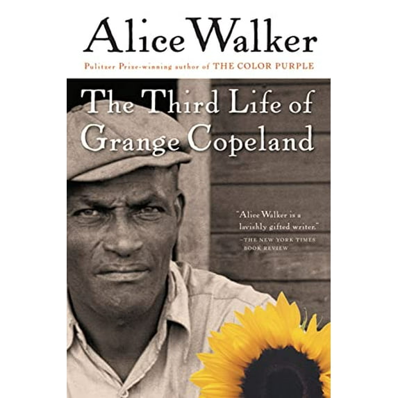 Pre-Owned The Third Life of Grange Copeland Paperback