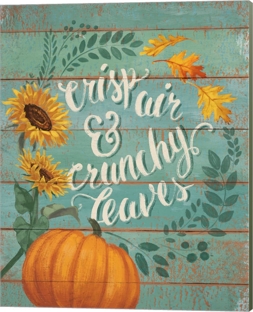 Harvest Delight III by Janelle Penner, Canvas Wall Art, 16W x 20H