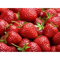 Harvest Glow Strawberry Plants - Grow Tasty Strawberries - Bare Root Plants (10 Plants)