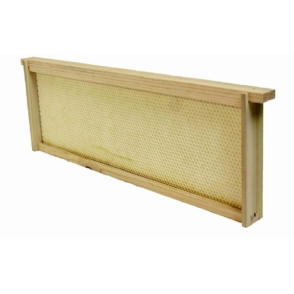 Harvest Lane Honey 212368 Medium Honey Super Beehive Wooden Frame