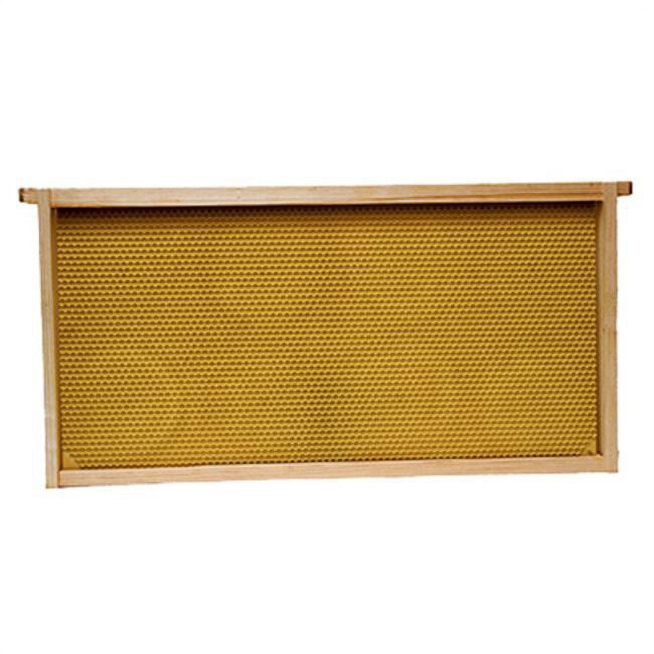 Medium Natural Pine Beehive Wooden Frame