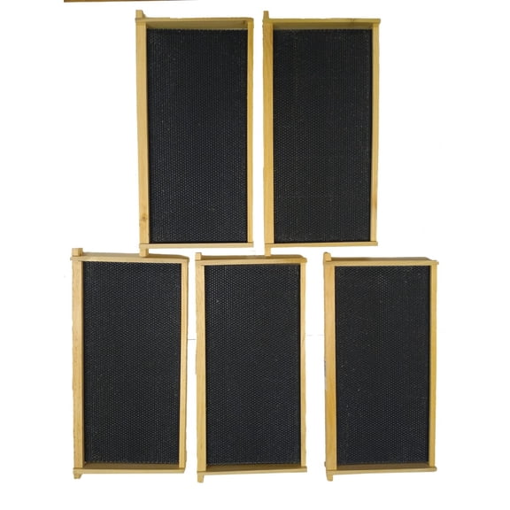 Harvest Lane Honey Deep Beehive Frame - Pack of 2