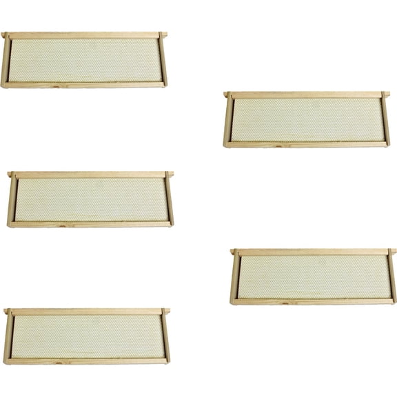 Harvest Lane Honey Medium Beehive Frame - Pack of 2