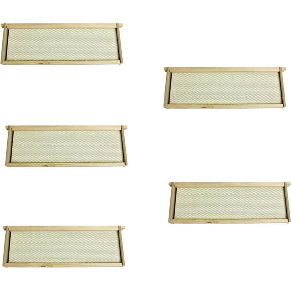 Harvest Lane Honey Medium Beehive Frame - Single Pack