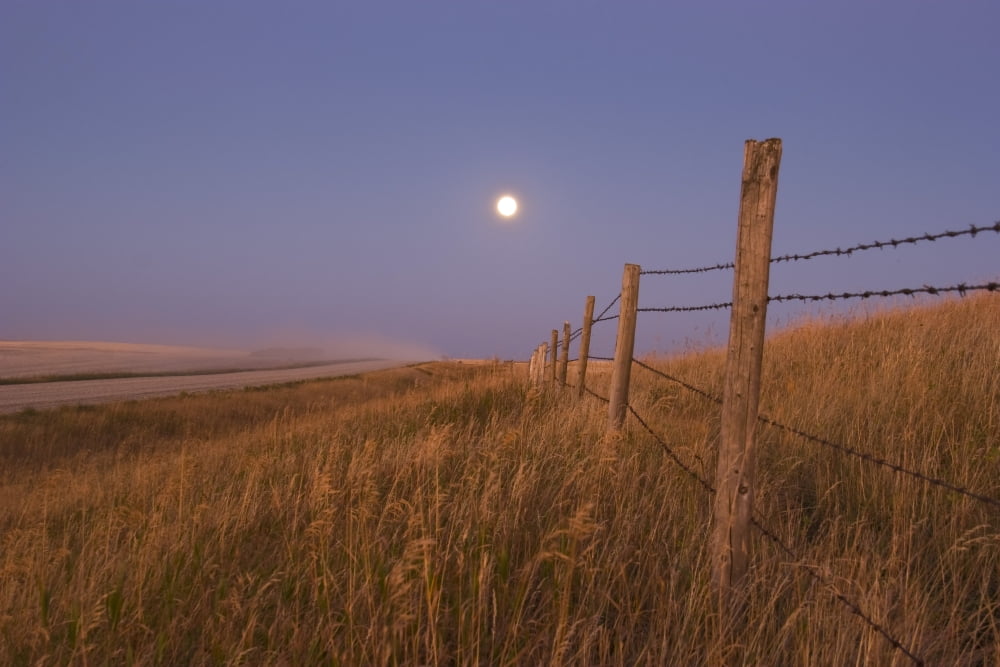 Harvest Moon down the road Gleichen Alberta Canada Canvas Art - Alan DyerStocktrek Images (35 x 23)