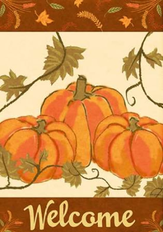 Harvest Pumpkin Canvas Art - Nicholas Biscardi (20X28)
