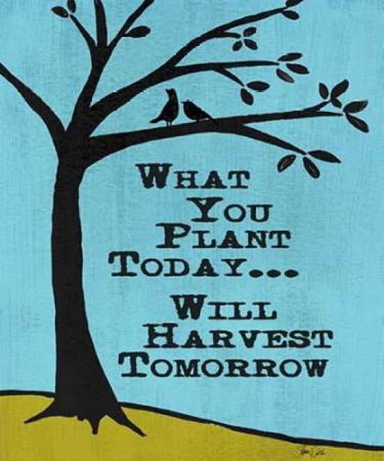 Harvest Tomorrow Canvas Art - Shanni Welsh (20 x 24)