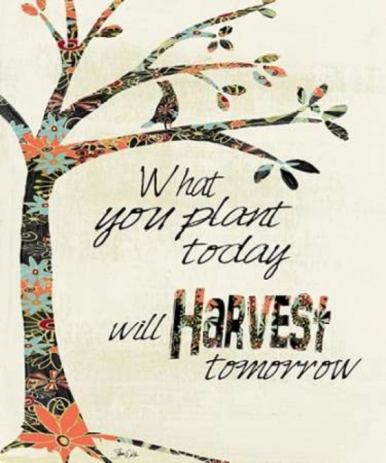 Harvest Tree Canvas Art - Shanni Welsh (20 x 24)
