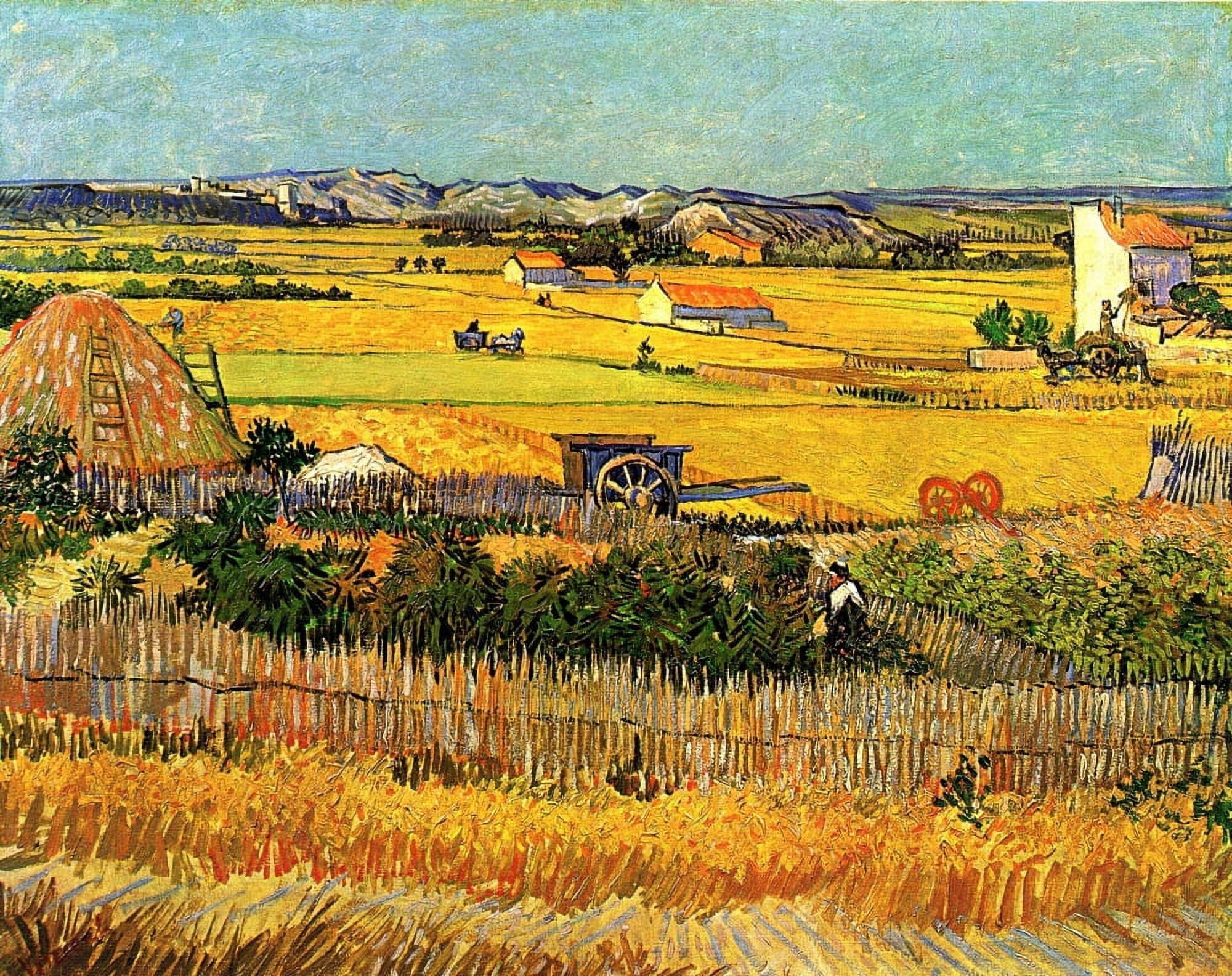 Harvest at la Crau 1888 Canvas Art - Vincent Van Gogh (24 x 36)