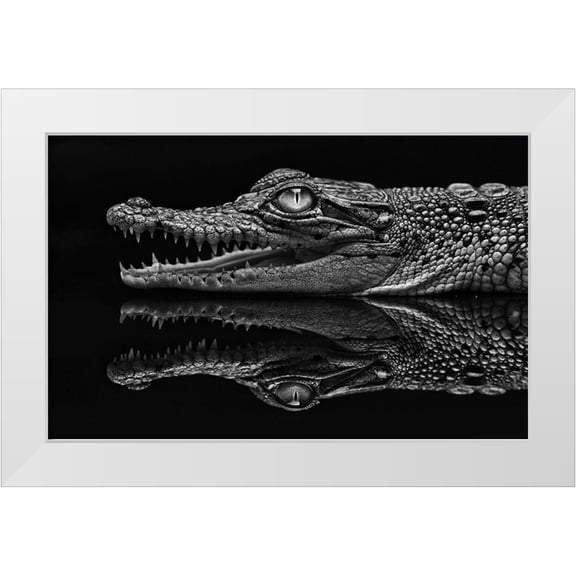 Haryanto, Jeffriy 14x10 White Modern Wood Framed Museum Art Print Titled - Dark Mirror