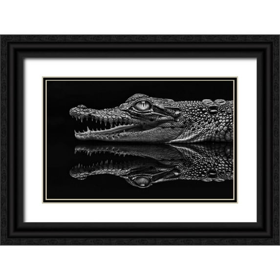 Haryanto, Jeffriy 24x17 Black Ornate Wood Framed with Double Matting Museum Art Print Titled - Dark Mirror