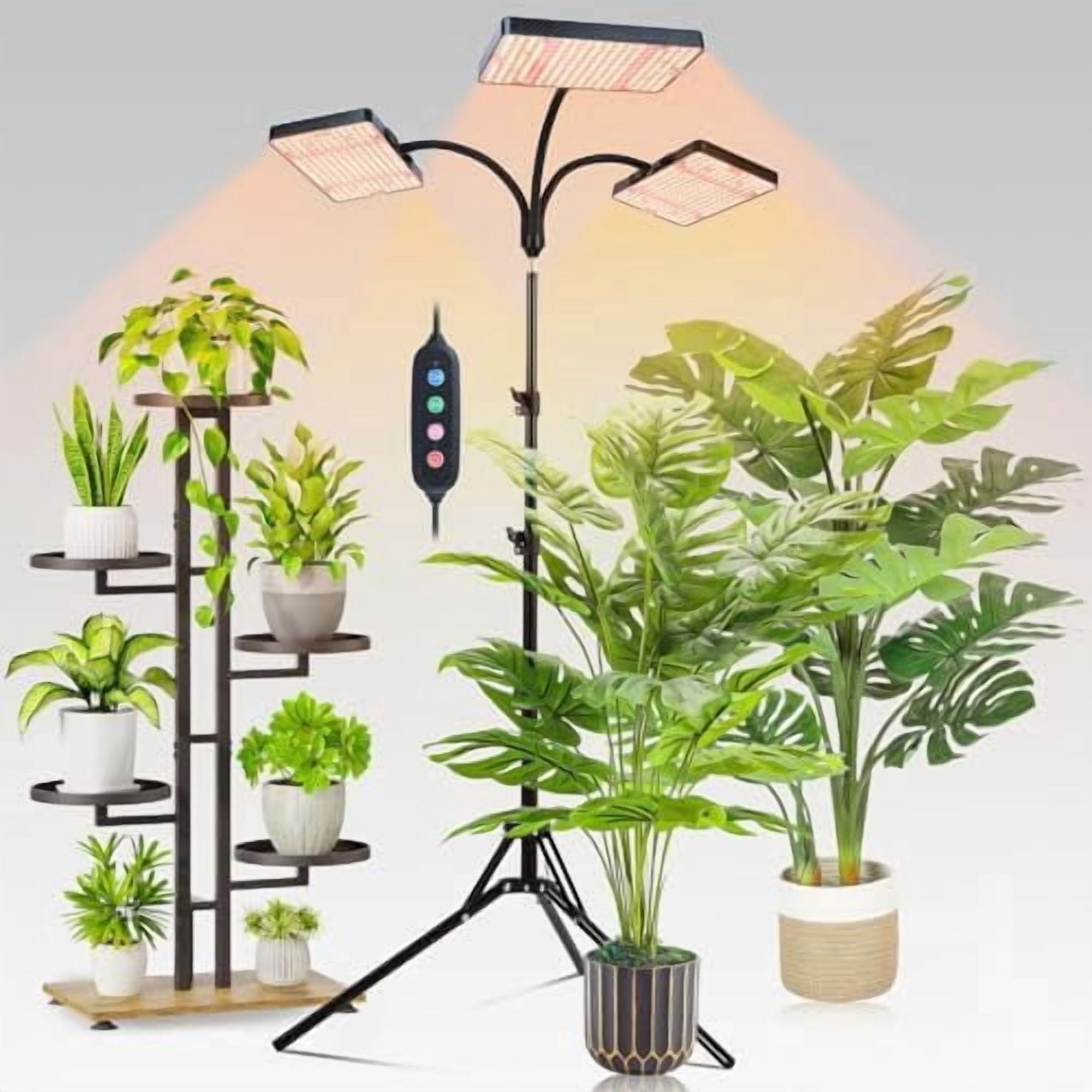 plant hanging rack Japandi Corner Plant Stand | Home Decor