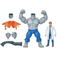 thumbnail image 1 of Hasbro Marvel Legends Series Gray Hulk and Dr. Bruce Banner, 6 Inch Action Figures, 1 of 6
