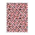 thumbnail image 1 of Hasbro Skelanimals Checked Skelanimals Silk Touch Throw Blanket 50x70 inches, 1 of 4