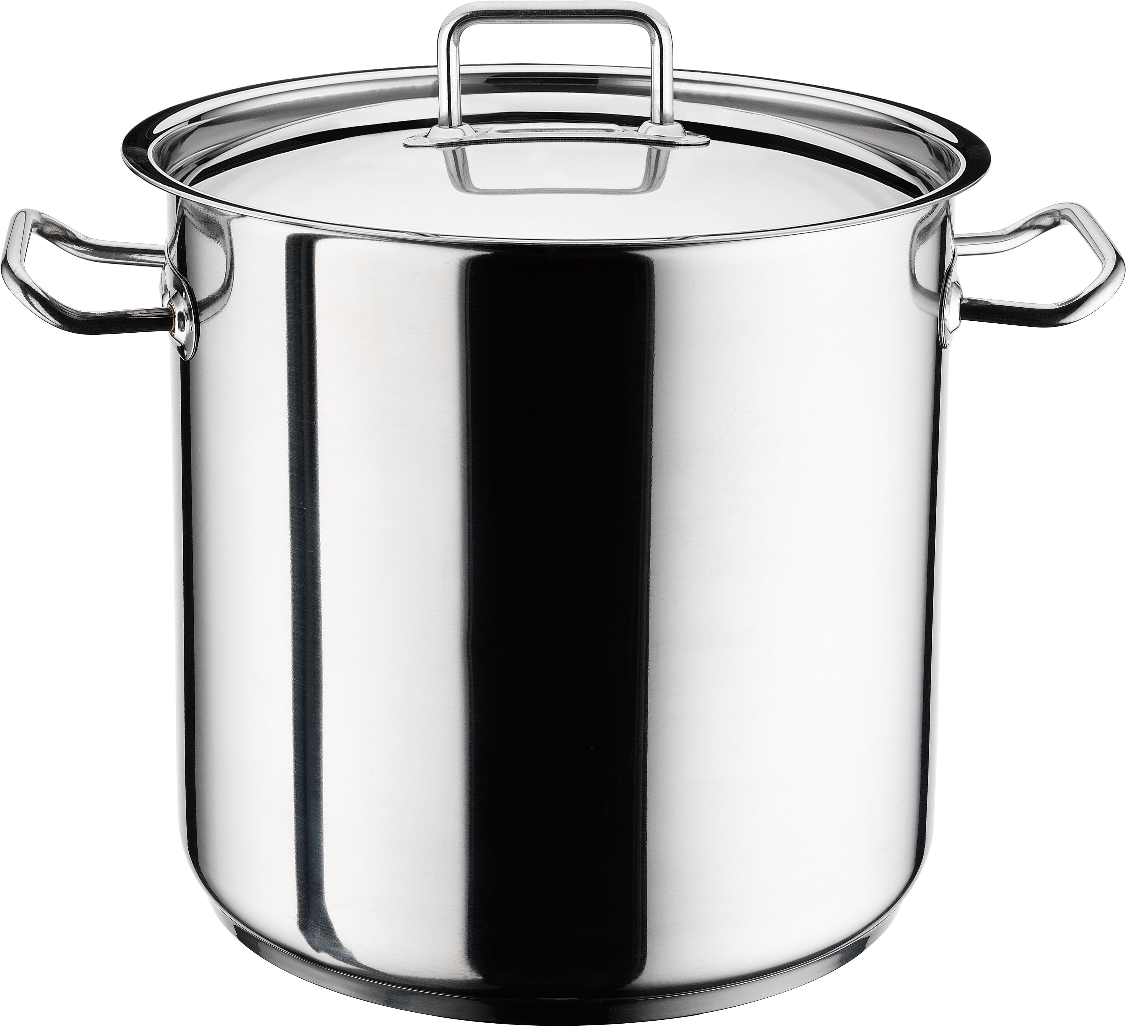 Hascevher Classic 18/10 Stainless Steel Chef’s Induction Stockpot with ...