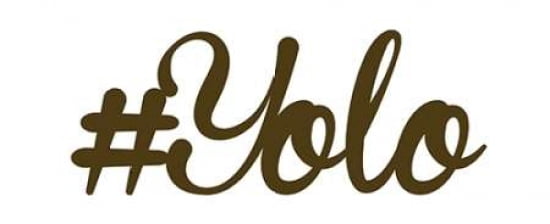 Hashtag Yolo Canvas Art - Anna Quach (10 x 20)