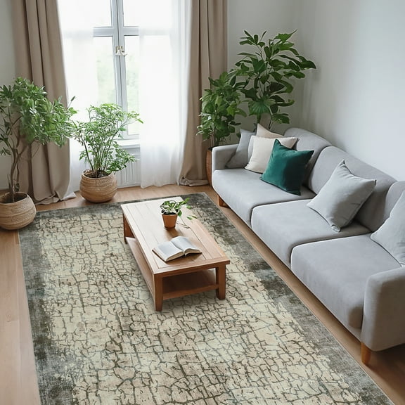 Hasoo 10' x 13' Area Rug for Living Room Abstract Non Slip Indoor Carpet, Brown