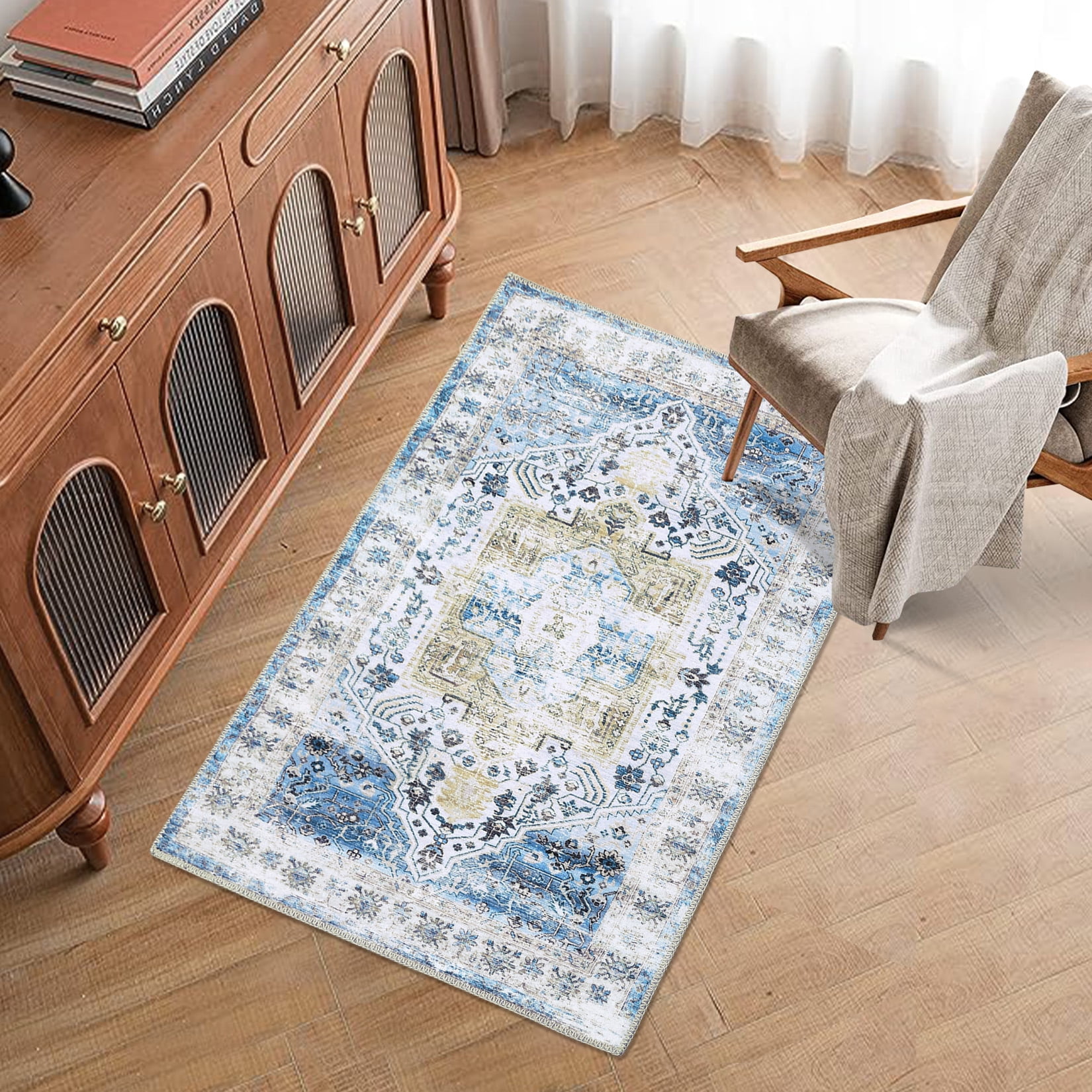 Hasoo 2' x 3' Throw Area Rug Washable Indoor Floor Cover Distressed ...