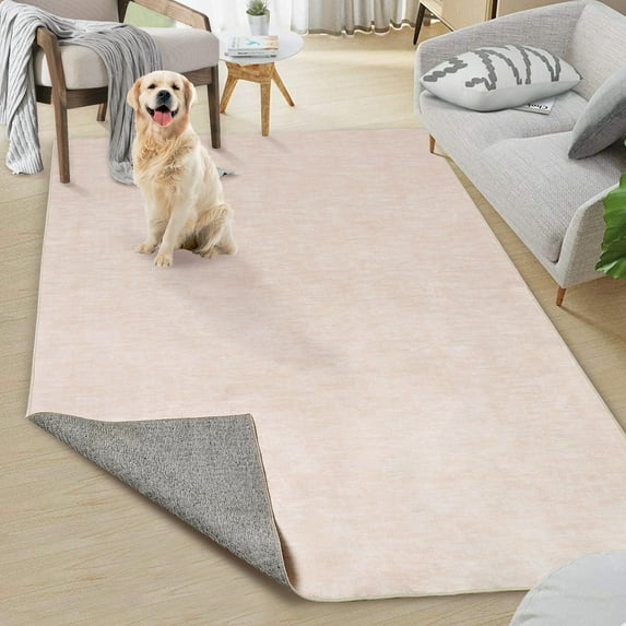 Hasoo 3' x 5' Area Rug for Living Room Machine Pink Washable Rugs Throw Rugs Non Slip Rugs for Bedroom Flannel Soft Rug