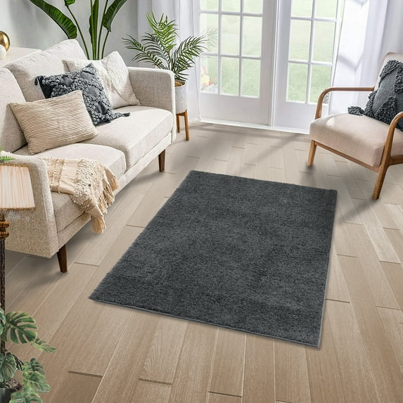 Hasoo 4' x 6' Area Rug Indoor Shaggy Plush Home Decor Floor Carpet, Dark Gray