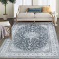 thumbnail image 1 of Hasoo 4' x 6' Area Rug Machine Washable Non-Slip Non-Shedding Low-Pile Floor Cover Persian Distressed Vintage Area Rug for Dining Room Living Room, Gray/Black, 1 of 5