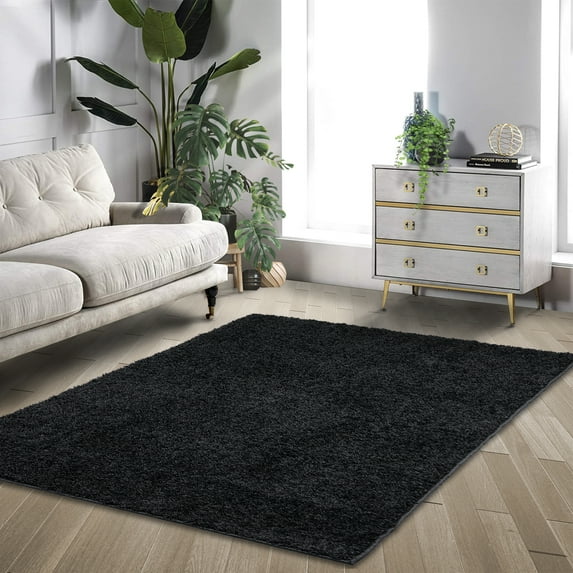 Hasoo 4' x 6'Soft Fuzzy Area Rugs for Living Room Indoor Non-Slip Floor Carpet, Black