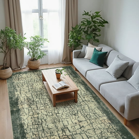 Hasoo 5' x 7' Area Rug for Living Room Abstract Non Slip Indoor Carpet, Green