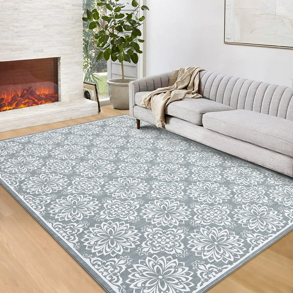 Hasoo 5' x 7' Area Rugs for Living Room Modern Austere European Area Rugs Machine Washable Rugs Bedroom Dining Room Kitchen Carpet Gray