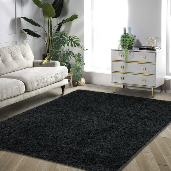 Hasoo 5' x 8' Area Rugs Indoor Shaggy Plush Area Rug Home Decor Floor Carpet, Black