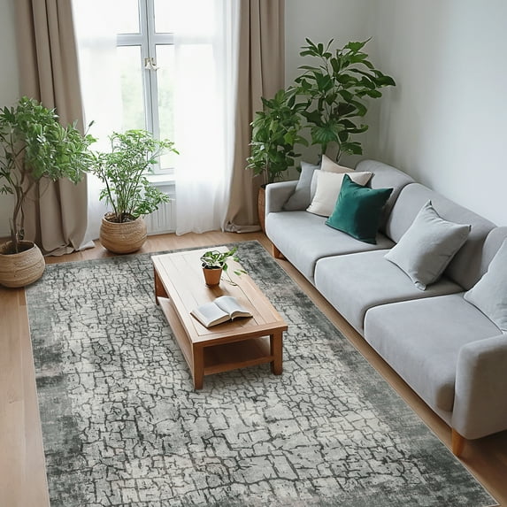 Hasoo 8' x 10' Area Rug for Living Room Abstract Non Slip Indoor Carpet, Gray