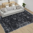 thumbnail image 1 of Hasoo 9' x 12' Area Rug for Living Room Boho Vintage Rug Non Slip Throw Rugs Floral Indoor Carpet, Black, 1 of 6