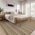 thumbnail image 1 of Hasoo Area Rug 10' x 13' Rugs for Living Room Chic Imitation Braided Print Soft Velvet Rug Non Slip Carpet for Bedroom, Brown, 1 of 6