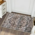 thumbnail image 1 of Hasoo Area Rug 2' x 3' Door Mat Kitchen Mat Entryway Rug Persian Rug Vintage Floral Print Accent Rug Non Slip for Kitchen Living Room Bedroom Dining Room, Brown, 1 of 5