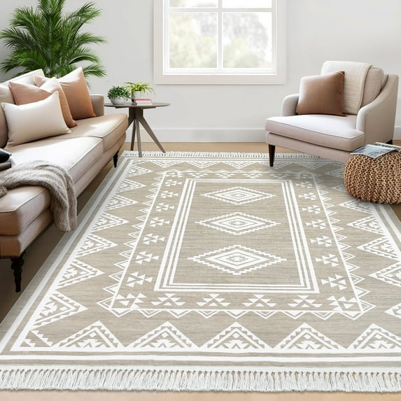 Hasoo Area Rug 4' x 6' Modern Moroccan Rug with Tassels Area Rug for Living Room Washable Soft Indoor Floor Carpet, Beige