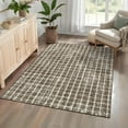 thumbnail image 1 of Hasoo Brown Washable Area Rugs 4' x 6' Rug for Living Room Checkered Geometric Modern Non Slip Throw Indoor Carpet, 1 of 5