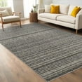 thumbnail image 1 of Hasoo Gray Area Rug 5' x 7' Rugs for Living Room Washable Rugs Modern Geometric Printed Braid Indoor Rug Soft Lightweight Carpet, 1 of 6