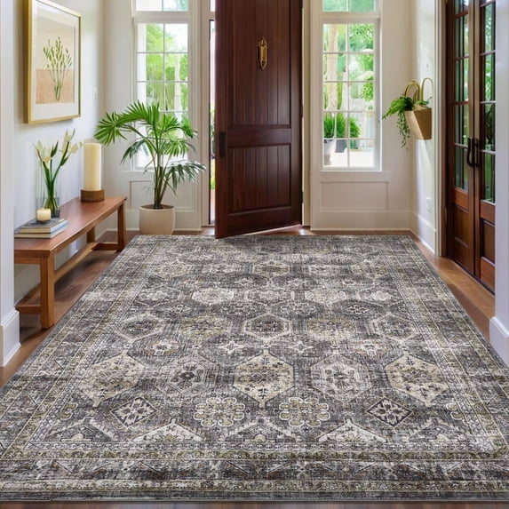 Hasoo Indoor Washable Area Rug 9' x 12' Floral Rugs for Living Room Geometric Throw Floor Mats Non-Slip Accent Carpet Grey/Brown