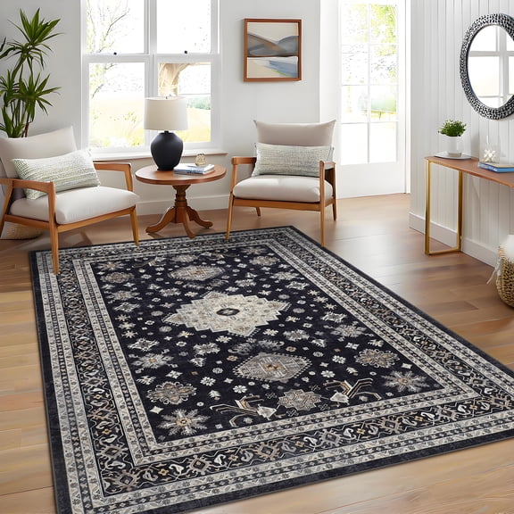 Hasoo Large Carpet Washable Oriental Non Slip Rug for Living Room Dining Room, 10' x 13' Black